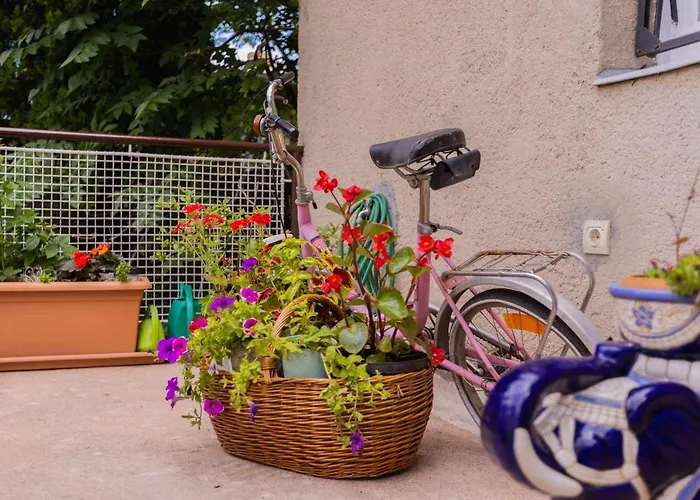 Comfy With A Dreamy Terrace Near The Old Spalato