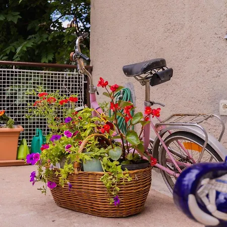 Comfy With A Dreamy Terrace Near The Old Σπλιτ